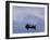 Columbia River, Washington, USA-null-Framed Photographic Print