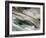 Columbia-Ursula Abresch-Framed Photographic Print