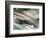 Columbia-Ursula Abresch-Framed Photographic Print