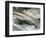 Columbia-Ursula Abresch-Framed Photographic Print