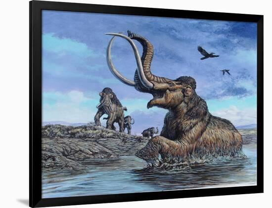 Art Print, , large