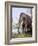 Columbian Mammoth-null-Framed Photographic Print