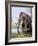 Columbian Mammoth-null-Framed Photographic Print