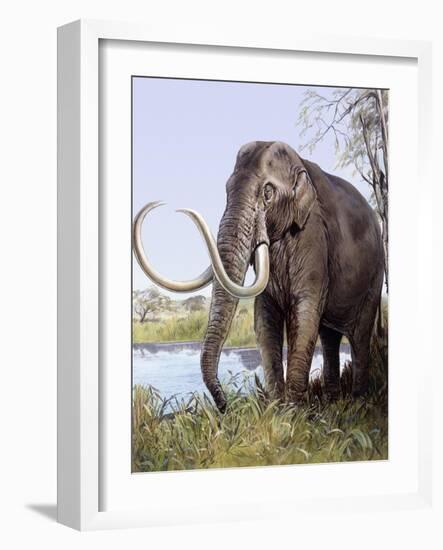 Columbian Mammoth-null-Framed Photographic Print