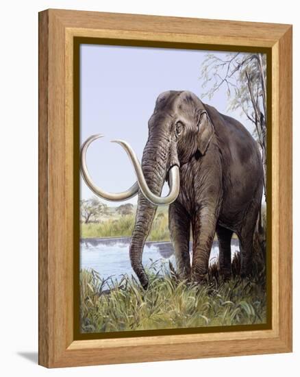 Columbian Mammoth-null-Framed Premier Image Canvas