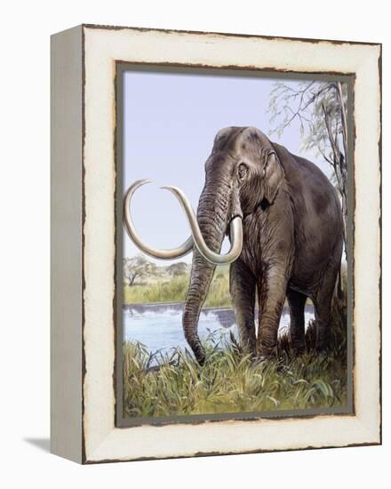 Columbian Mammoth-null-Framed Premier Image Canvas