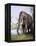 Columbian Mammoth-null-Framed Premier Image Canvas