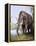 Columbian Mammoth-null-Framed Premier Image Canvas