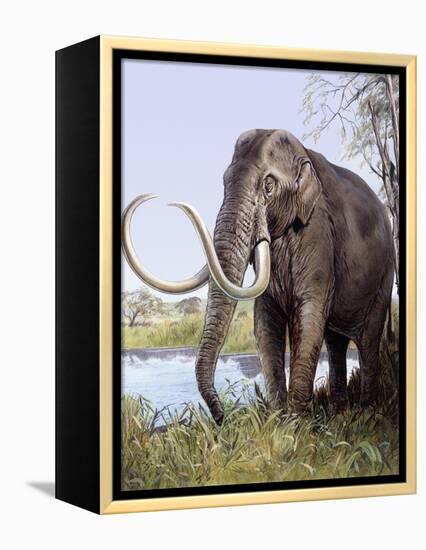 Columbian Mammoth-null-Framed Premier Image Canvas