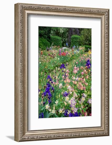 Columbine and Iris garden, Salem, Oregon-Adam Jones-Framed Photographic Print