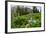 Columbine and Wildflowers in Colorado Mountain Basin-kvd design-Framed Photographic Print