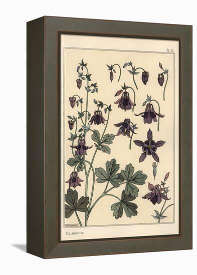 Columbine, Aquilegia Vulgaris, Flower Parts, 1897 (Lithograph)-Eugene Grasset-Framed Premier Image Canvas