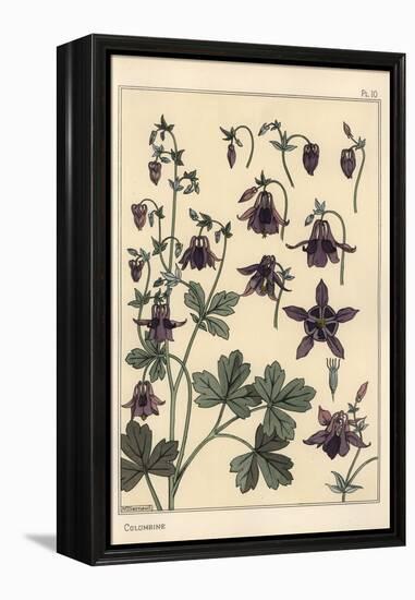 Columbine, Aquilegia Vulgaris, Flower Parts, 1897 (Lithograph)-Eugene Grasset-Framed Premier Image Canvas