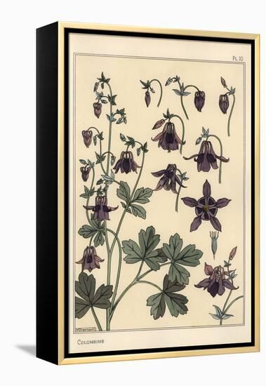 Columbine, Aquilegia Vulgaris, Flower Parts, 1897 (Lithograph)-Eugene Grasset-Framed Premier Image Canvas