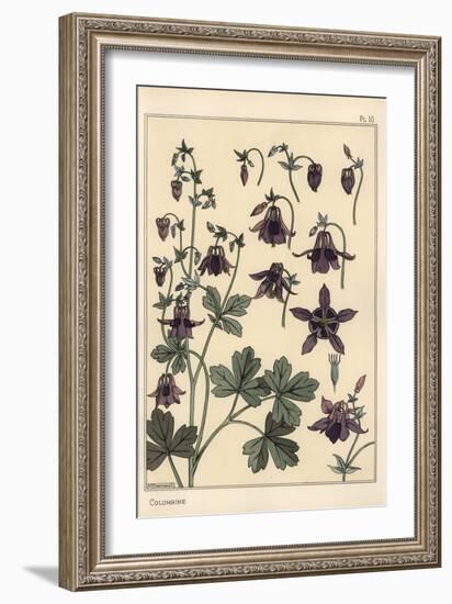 Columbine, Aquilegia Vulgaris, Flower Parts, 1897 (Lithograph)-Eugene Grasset-Framed Giclee Print