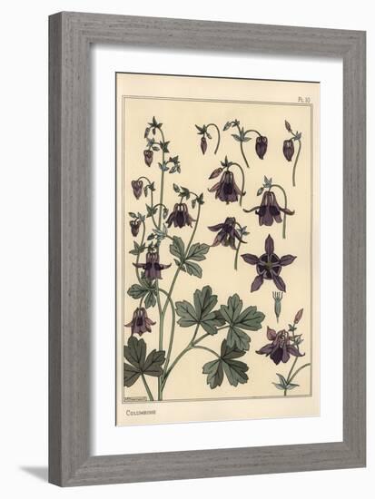 Columbine, Aquilegia Vulgaris, Flower Parts, 1897 (Lithograph)-Eugene Grasset-Framed Giclee Print