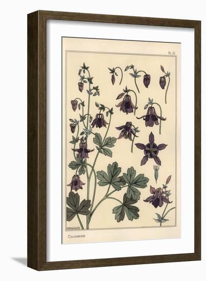 Columbine, Aquilegia Vulgaris, Flower Parts, 1897 (Lithograph)-Eugene Grasset-Framed Giclee Print