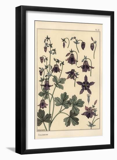 Columbine, Aquilegia Vulgaris, Flower Parts, 1897 (Lithograph)-Eugene Grasset-Framed Giclee Print