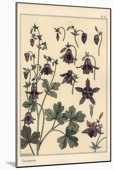 Columbine, Aquilegia Vulgaris, Flower Parts, 1897 (Lithograph)-Eugene Grasset-Mounted Giclee Print