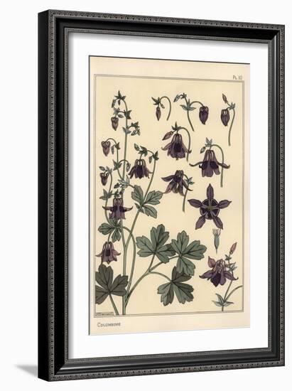 Columbine, Aquilegia Vulgaris, Flower Parts, 1897 (Lithograph)-Eugene Grasset-Framed Giclee Print