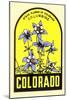 Columbine Decal-null-Mounted Art Print