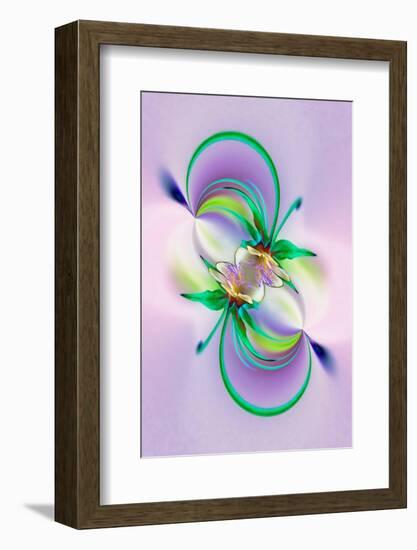 Columbine flower, Colorado-Adam Jones-Framed Photographic Print