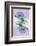 Columbine flower, Colorado-Adam Jones-Framed Photographic Print