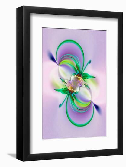 Columbine flower, Colorado-Adam Jones-Framed Photographic Print