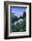 Columbine Flowers-DLILLC-Framed Photographic Print