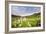 Columbine Morning II-Dan Ballard-Framed Photographic Print