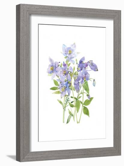 Columbine Spray I-Tim O'Toole-Framed Art Print