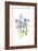 Columbine Spray I-Tim O'Toole-Framed Art Print