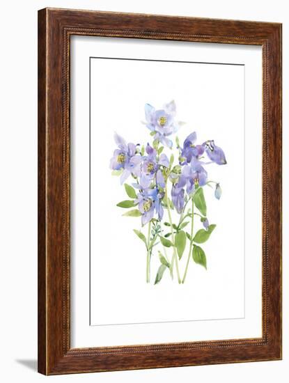 Columbine Spray I-Tim O'Toole-Framed Art Print