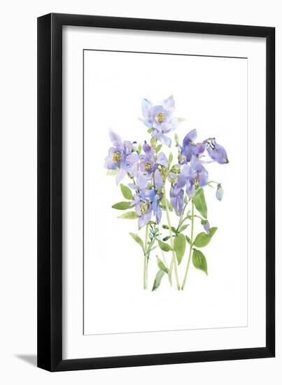 Columbine Spray I-Tim O'Toole-Framed Art Print