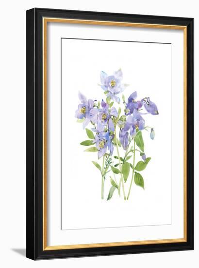 Columbine Spray I-Tim O'Toole-Framed Art Print