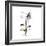 Columbine Square 2-Albert Koetsier-Framed Premium Giclee Print