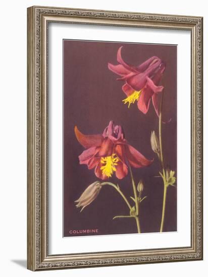 Columbine-null-Framed Art Print