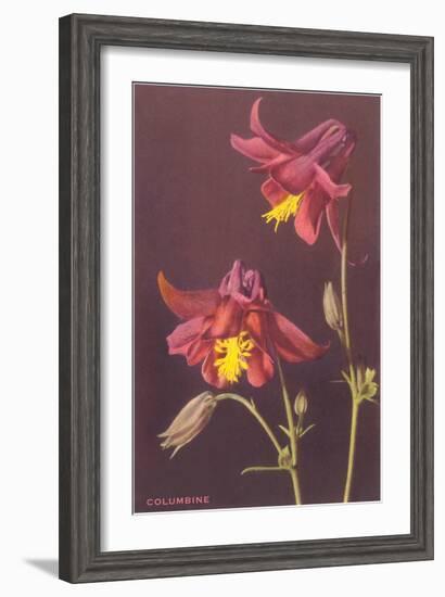 Columbine-null-Framed Art Print