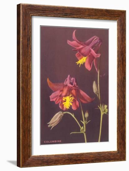 Columbine-null-Framed Art Print