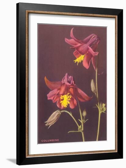 Columbine-null-Framed Art Print