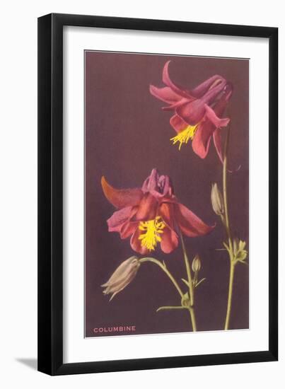 Columbine-null-Framed Art Print