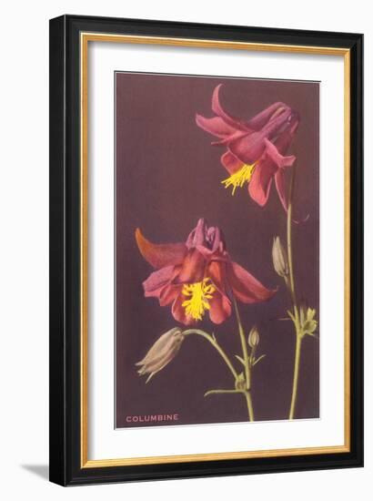 Columbine-null-Framed Art Print