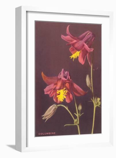 Columbine-null-Framed Premium Giclee Print