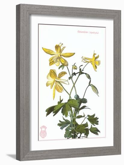 Columbine-null-Framed Art Print