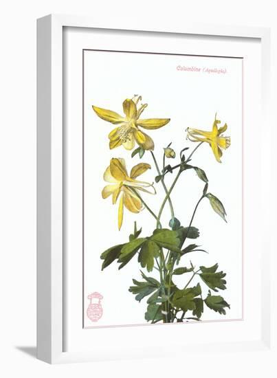 Columbine-null-Framed Art Print