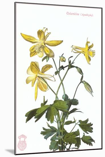 Columbine-null-Mounted Art Print