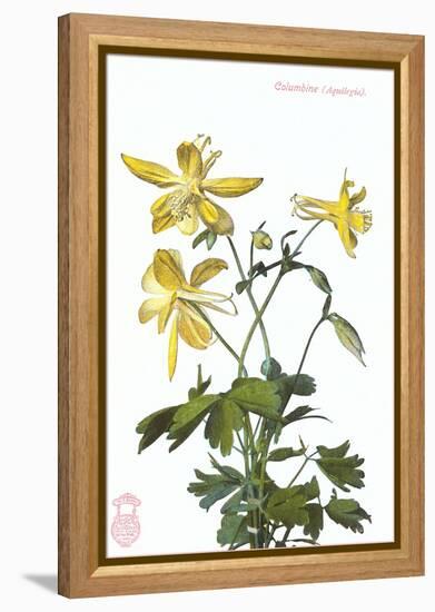 Columbine-null-Framed Stretched Canvas