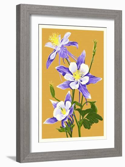 Columbine-Lantern Press-Framed Premium Giclee Print