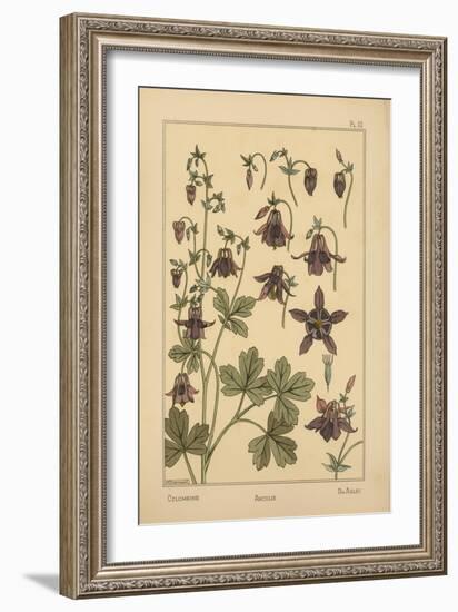 Columbine-null-Framed Giclee Print