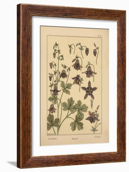 Columbine-null-Framed Giclee Print